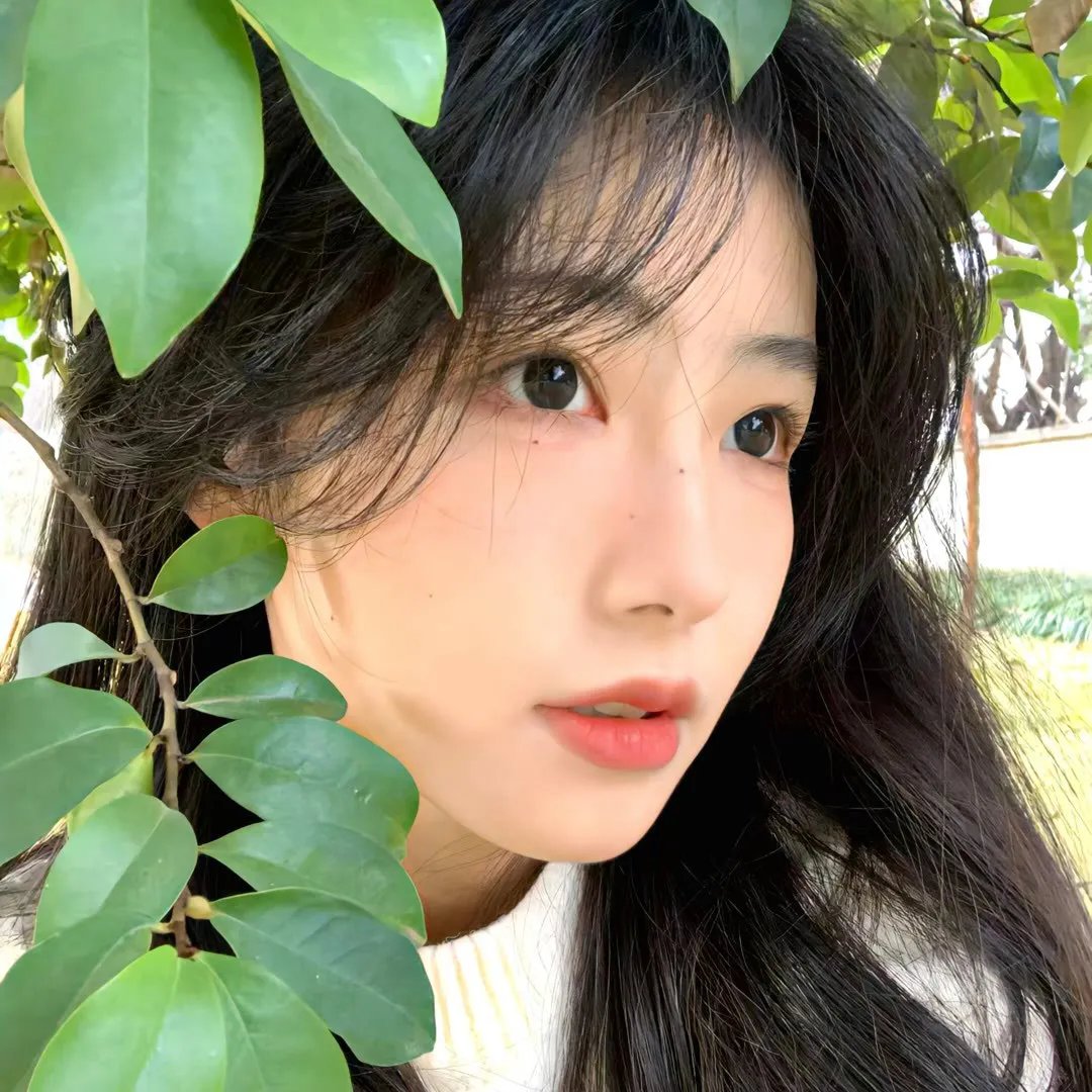 复见余生 封面